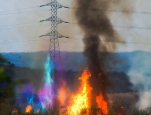 GELİBOLU’DA NEKAHAT GÜNLERİ