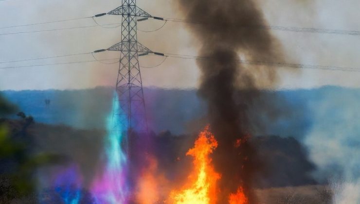 GELİBOLU’DA NEKAHAT GÜNLERİ