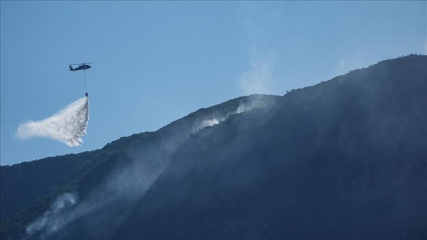 İzmir’in Seferihisar ilçesinde orman yangını çıktı