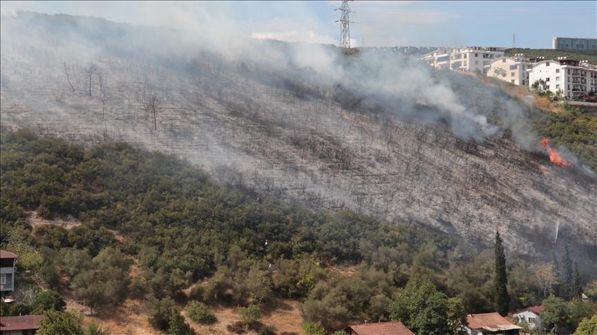 Kocaeli’de ağaçlık ve makilik alanda çıkan yangına müdahale ediliyor
