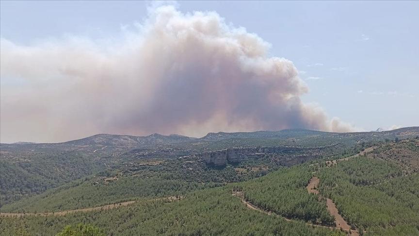 Mersin’de ormanlık alanda yangın çıktı