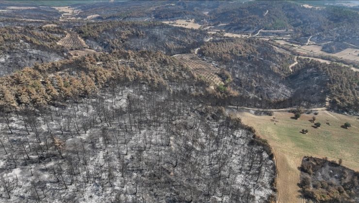 Çanakkale’de yangında zarar gören alanlar dronla görüntülendi