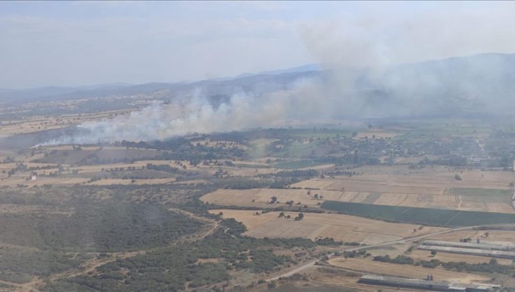 Çanakkale’de orman dışı alanda çıkan yangın söndürülmeye çalışılıyor
