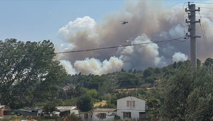 Çanakkale’de tarım arazisinde başlayıp ormana sıçrayan yangına müdahale ediliyor