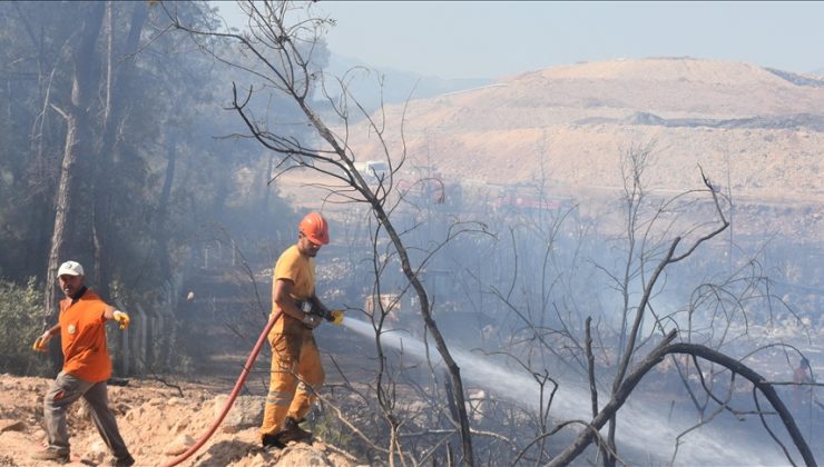 Antalya’daki orman yangınlarının yarısı “kontrolsüz piknik”ten kaynaklanıyor