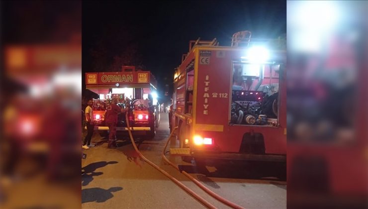 Hatay’da çıkan orman yangını söndürüldü