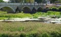 Tunca Nehri’nde kuraklık nedeniyle su akışının durduğu alanlar ot öbekleriyle kaplandı