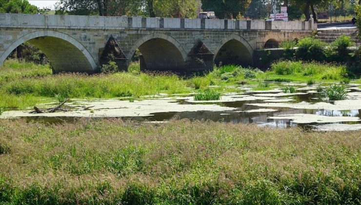 Tunca Nehri’nde kuraklık nedeniyle su akışının durduğu alanlar ot öbekleriyle kaplandı
