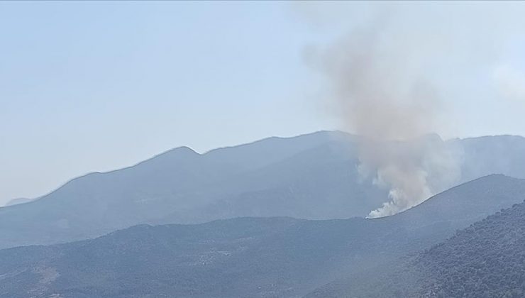 Muğla’da ormanlık alanda yangın çıktı