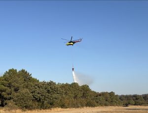 Çanakkale, Edirne, Hatay ve Manisa’daki orman yangınları tamamen kontrol altına alındı