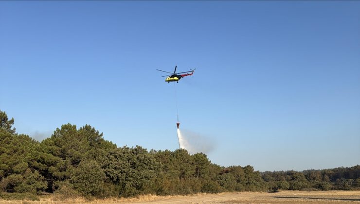 Çanakkale, Edirne, Hatay ve Manisa’daki orman yangınları tamamen kontrol altına alındı