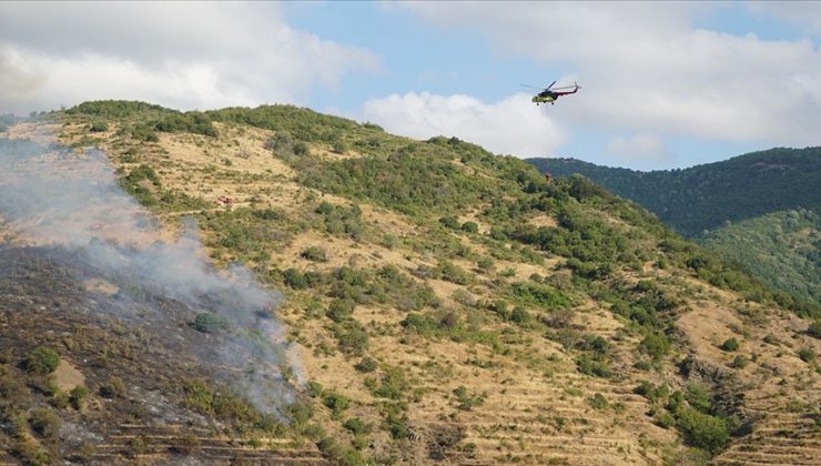 Tekirdağ’da makilikte çıkan yangın söndürüldü