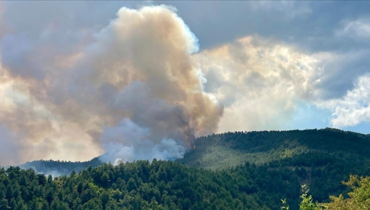 Karabük’te ormanlık alanda yeniden yangın çıktı
