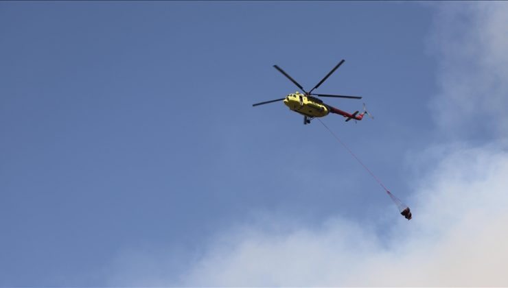 Denizli’nin Pamukkale ilçesindeki orman yangını büyük ölçüde kontrol altına alındı