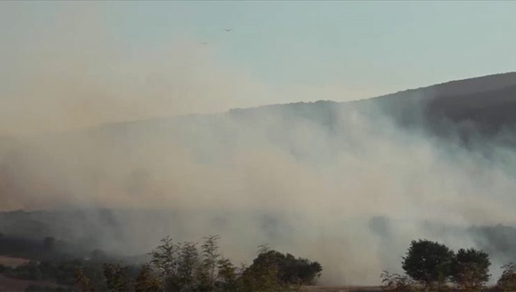 Balıkesir’in Susurluk ilçesinde çıkan orman yangınına müdahale ediliyor