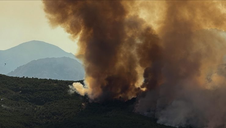 İspanya’daki yangınlarda 1 kişi öldü, 5 binden fazla kişi geceyi dışarıda geçirdi