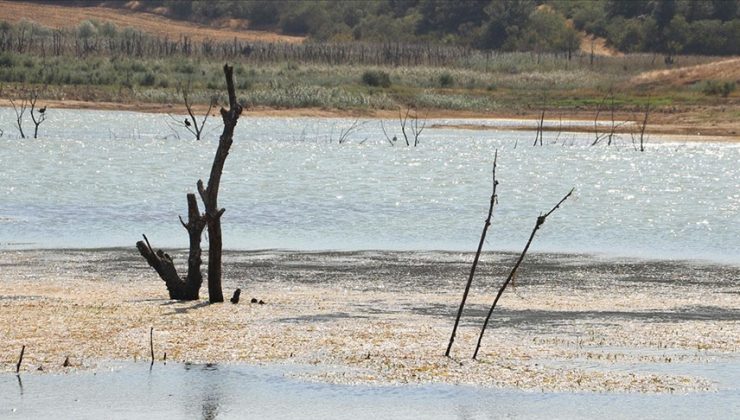 Tekirdağ’daki Yazır Göleti’nin su seviyesi kuraklığın etkisiyle yüzde 4’e düştü