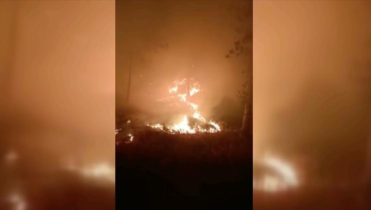 Muğla’da çıkan orman yangınına müdahale ediliyor