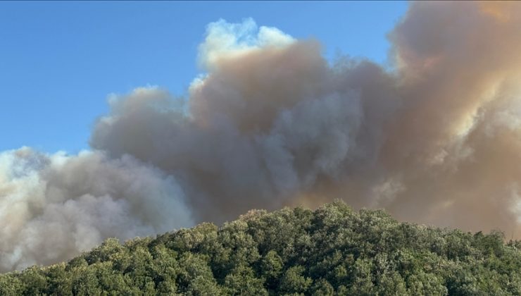 Kocaeli’deki orman yangınının enerjisi havadan ve karadan müdahaleyle düşürüldü