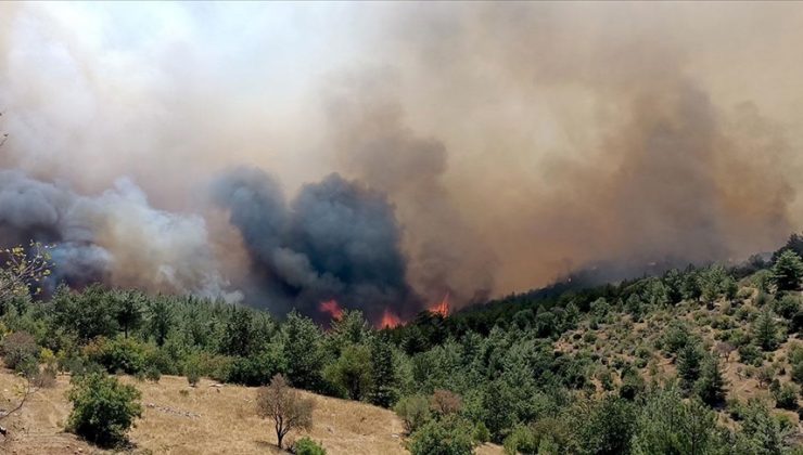 Mersin ve Çanakkale’de çıkan orman yangınlarına müdahale ediliyor