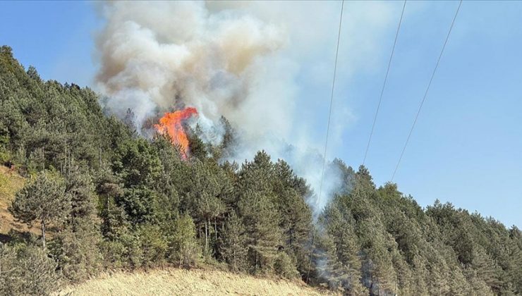 Sinop’ta çıkan orman yangınına müdahale ediliyor