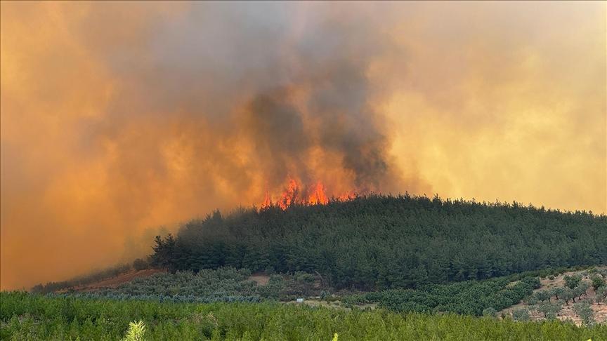 Bursa’da çıkan orman yangınına müdahale ediliyor
