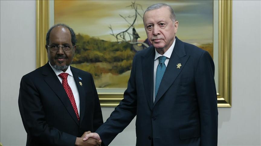 Cumhurbaşkanı Erdoğan Somali Cumhurbaşkanı Mahmud ile bir araya geldi