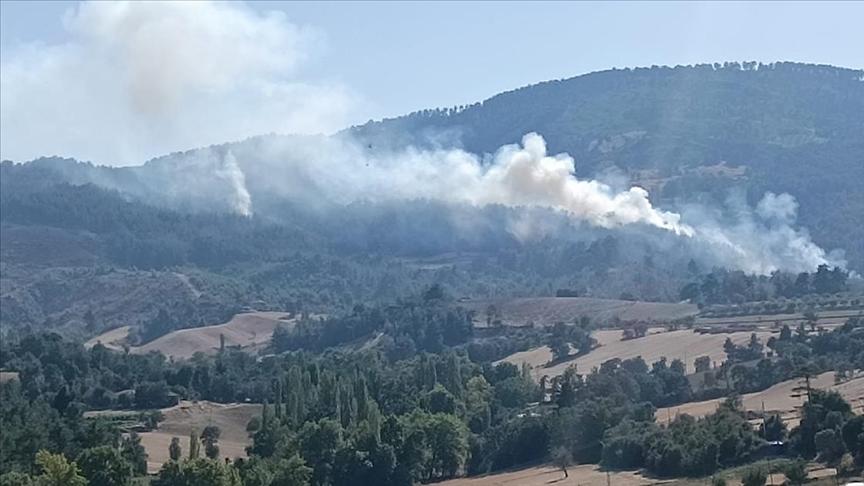 Denizli’nin Buldan ilçesinde orman yangını çıktı