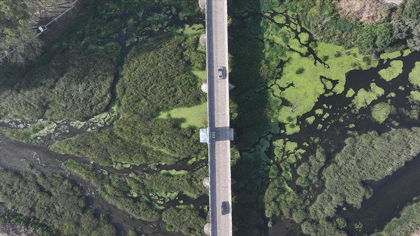 Kuraklık ve sıcaklar Edirne’deki nehirleri etkiledi