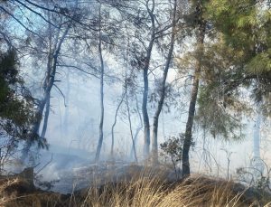 Manavgat’ta tarım arazisinde başlayan yangın ormanlık alana sıçradı
