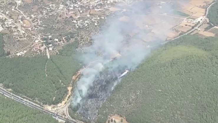 Bodrum’da çıkan orman yangını kontrol altına alındı