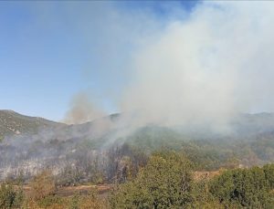 Burdur’da ormanlık alanda çıkan yangın kontrol altına alındı