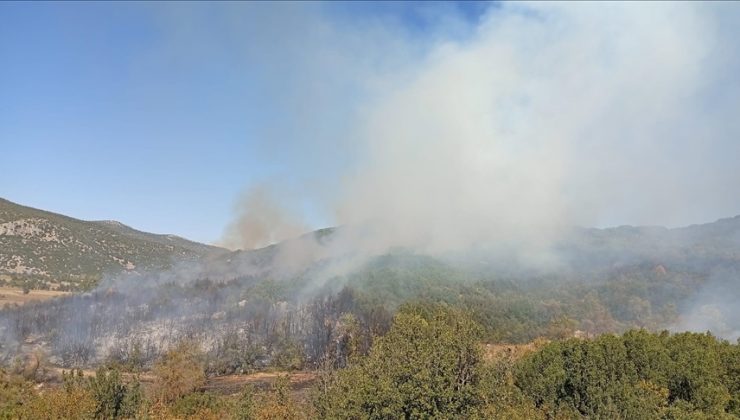 Burdur’da ormanlık alanda çıkan yangın kontrol altına alındı