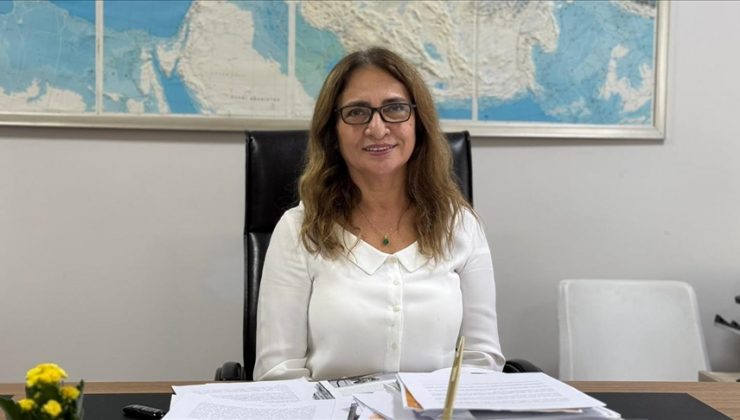 Uzmanlar Marmara Denizi’ndeki depremi değerlendirdi
