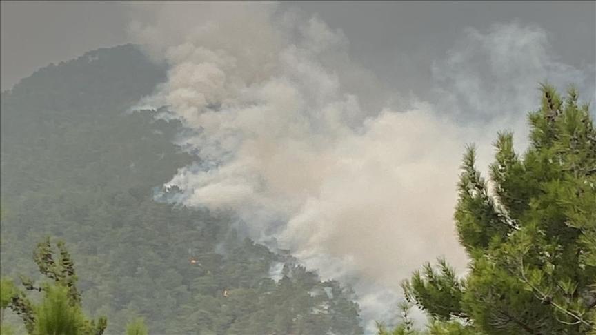 Hatay’da 2 farklı noktada çıkan orman yangınlarına müdahale ediliyor