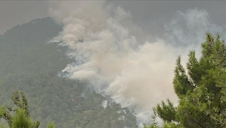 Hatay’da 2 farklı noktada çıkan orman yangınlarına müdahale ediliyor