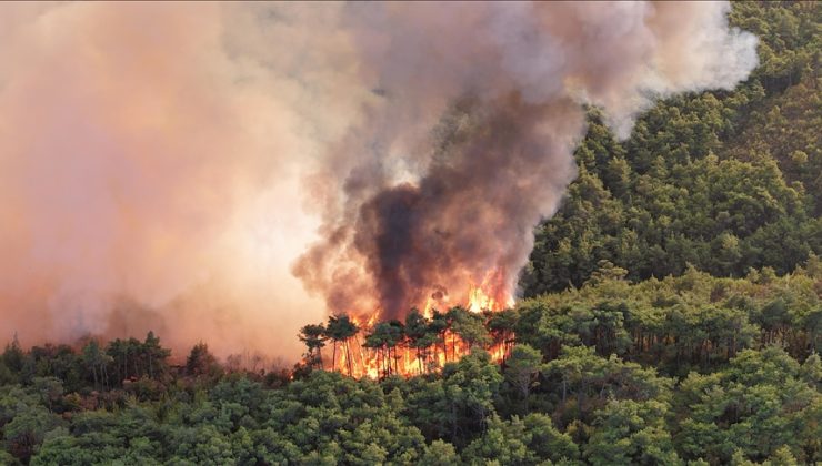 İran, şiddetlenen orman yangınlarına müdahale için uluslararası yardım çağrısında bulundu