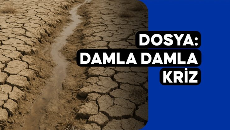 Damla damla kriz: İklim değişikliğiyle gelen “sinsi afet” kuraklık