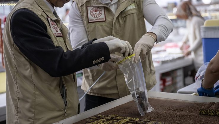Şubatta 110 bin 106 gıda denetimi gerçekleştirildi