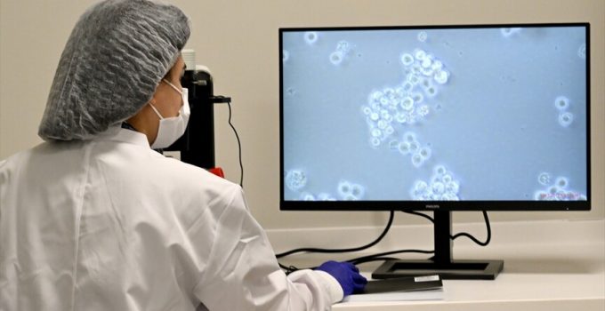 Türkiye’de kan kanseri hastaları için “hücre” tedavisi dönemi başladı