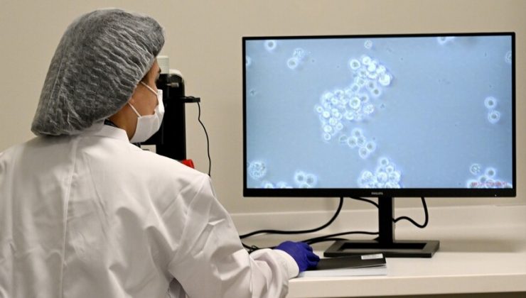 Türkiye’de kan kanseri hastaları için “hücre” tedavisi dönemi başladı