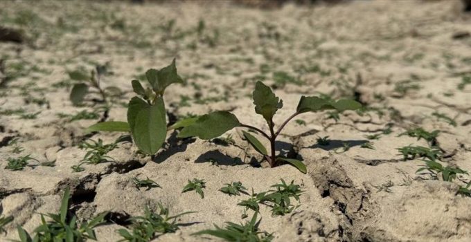 Son yağışlara rağmen uzun vadede kuraklık sürüyor