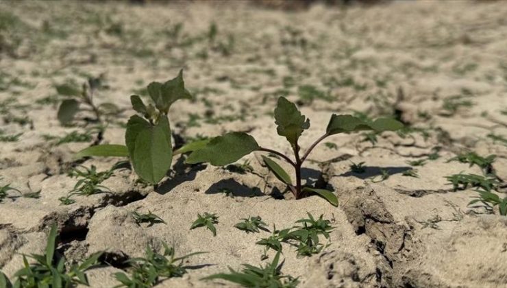 Son yağışlara rağmen uzun vadede kuraklık sürüyor