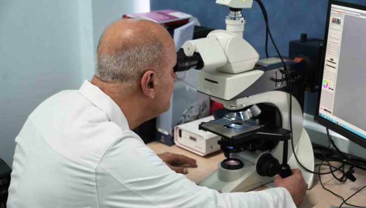 KBÜ’den Alzheimer ve benzeri hastalıklara umut ışığı