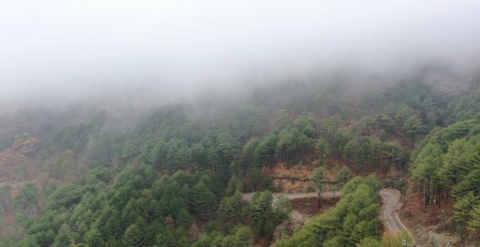 Çanakkale’de ormanlara girişler yasaklandı