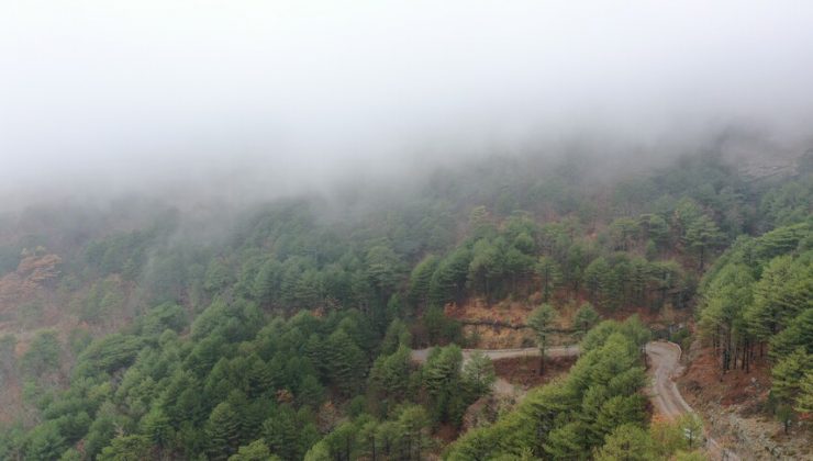 Çanakkale’de ormanlara girişler yasaklandı