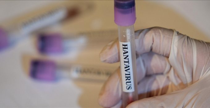 İklim ve habitat değişimi hantavirüs riskini yeniden şekillendiriyor