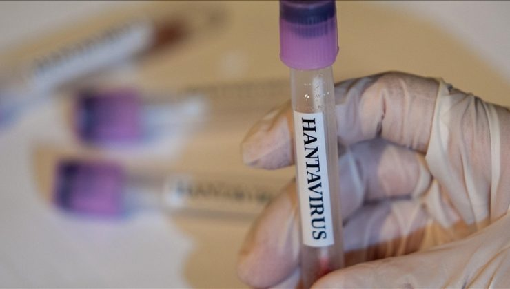 İklim ve habitat değişimi hantavirüs riskini yeniden şekillendiriyor