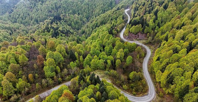 Tarım ve Orman Bakanı Yumaklı’dan orman yangınlarına karşı uyarı