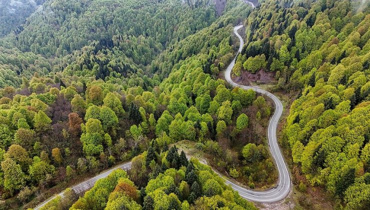 Tarım ve Orman Bakanı Yumaklı’dan orman yangınlarına karşı uyarı
